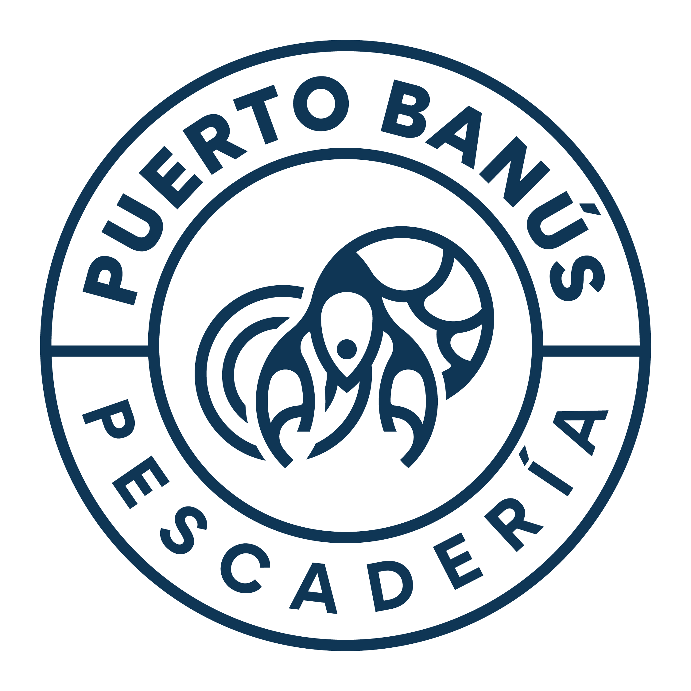 Cursos Puerto Banús